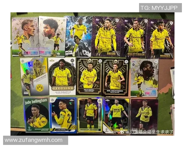 球星卡足球单价解析：影响因素、市场趋势与投资价值探讨